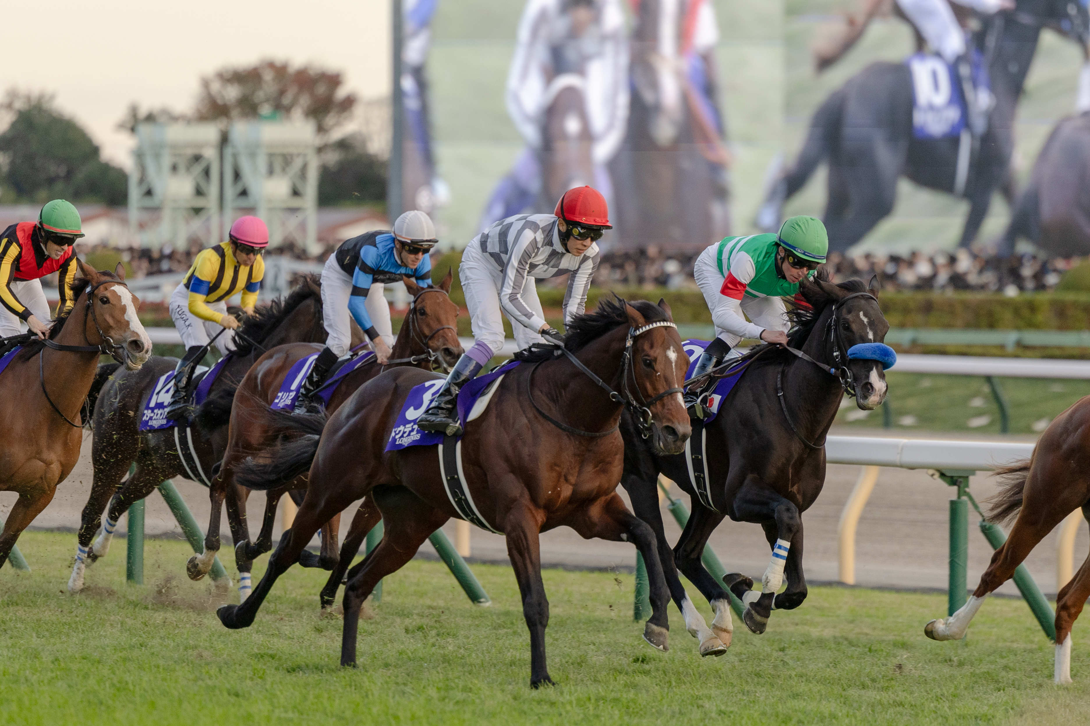 競馬場の写真1