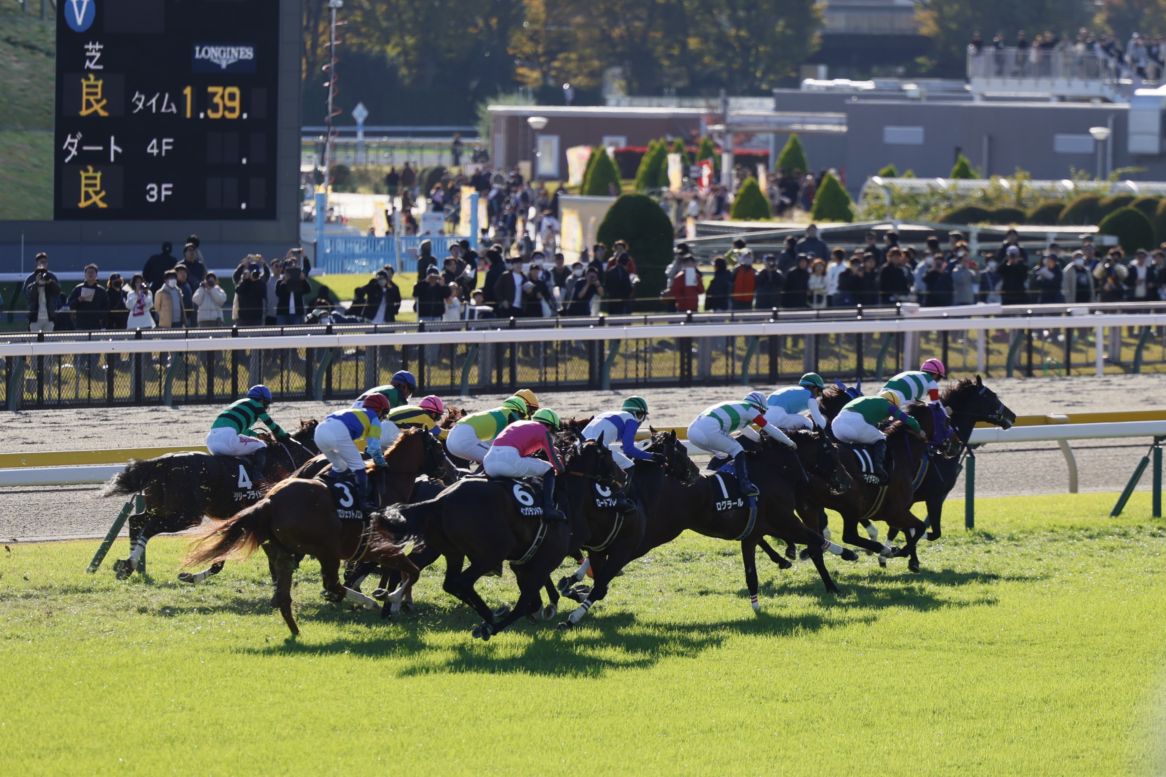 競馬場の写真2
