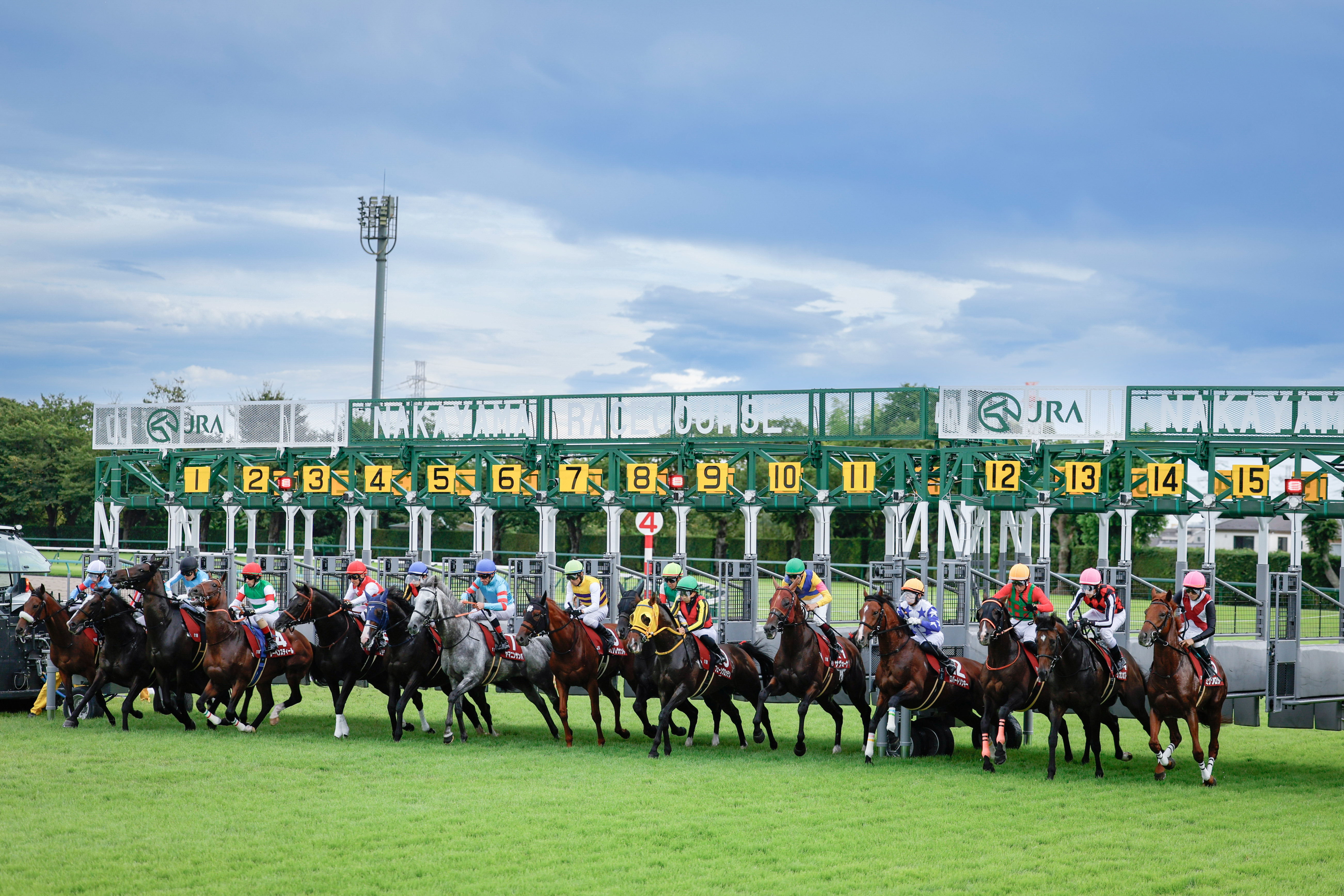 競馬場の写真3