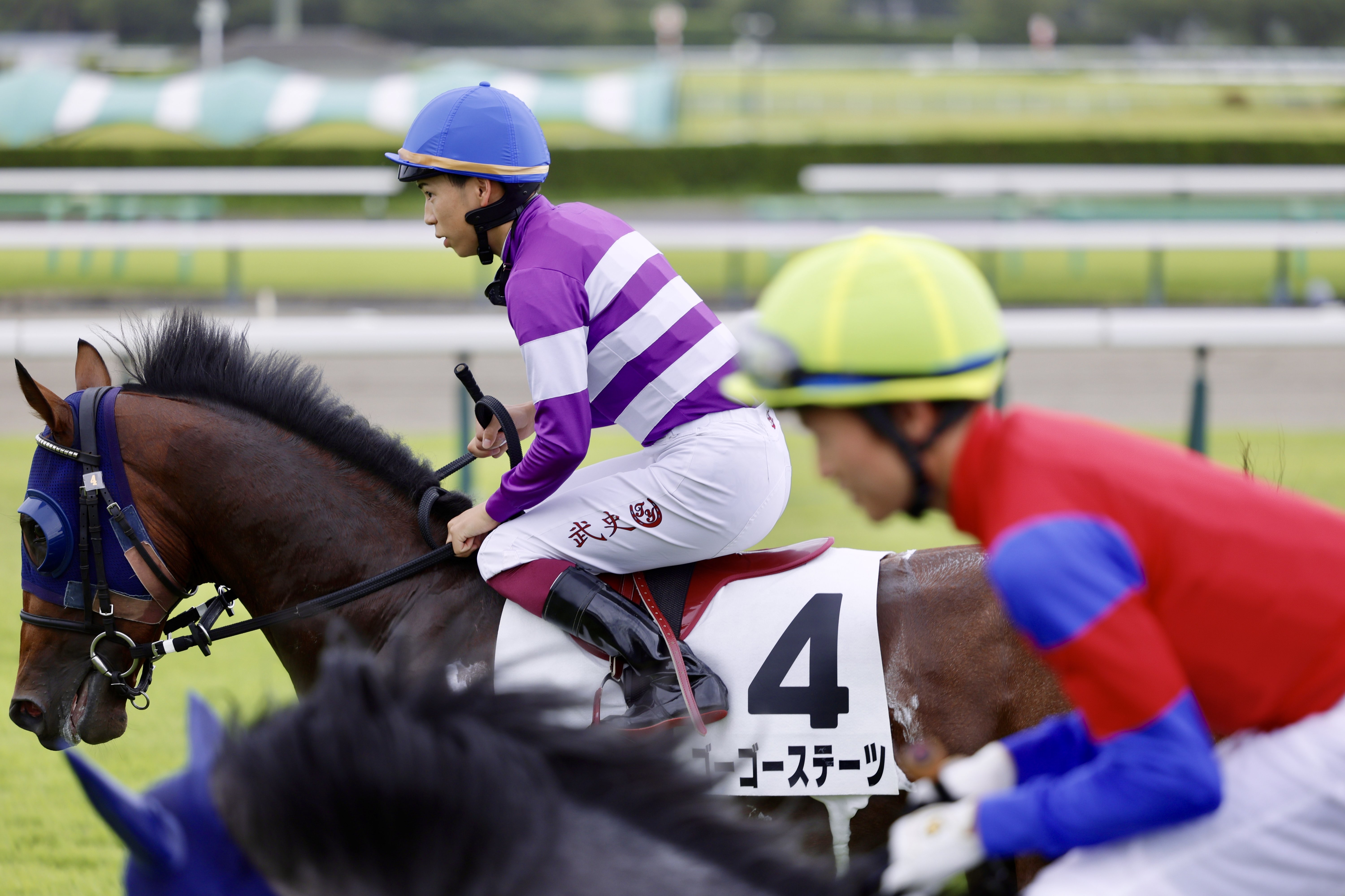 競馬場の写真4