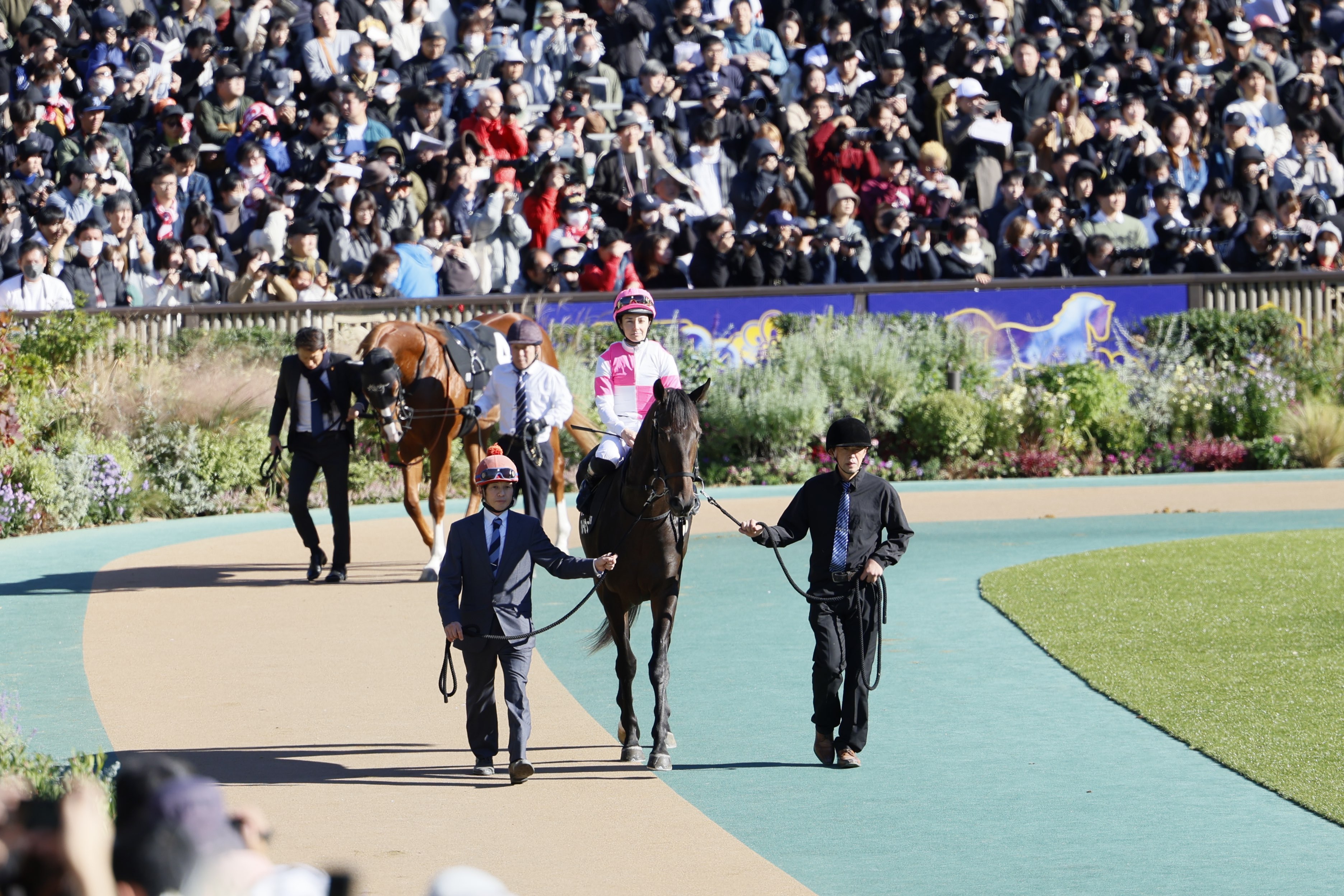 競馬場の写真5